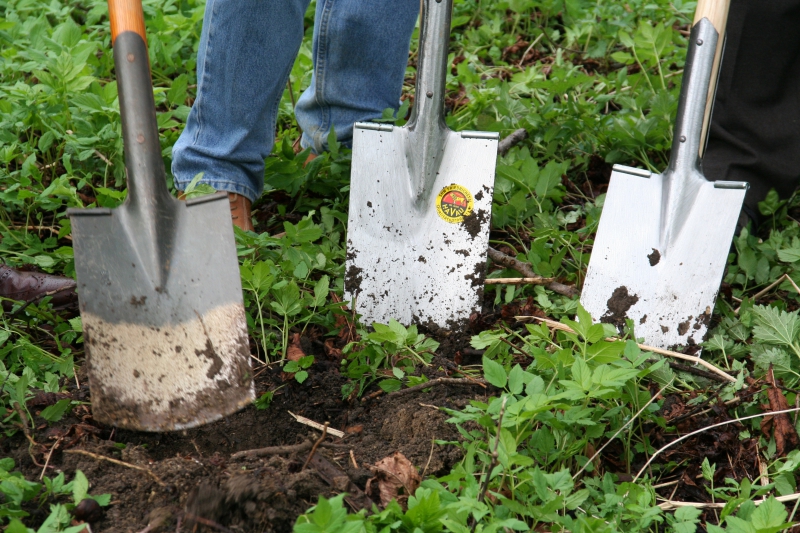 pepiniere-MOULINET-min_work-lawn-flower-tool-green-backyard-1103633-pxhere.com